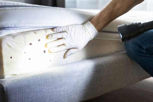 Best Affordable Pest Control Services  in Secaucus, NJ