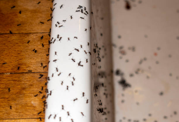 Secaucus, NJ Pest Control Pros